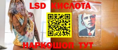 соль ск Новозыбков