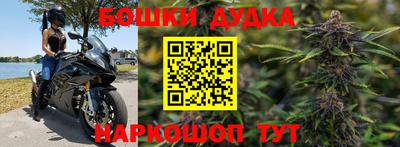 соль ск Новозыбков