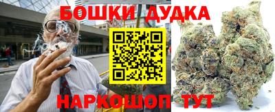 соль ск Новозыбков