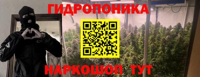 соль ск Новозыбков
