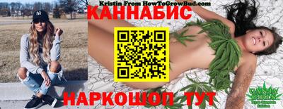 соль ск Новозыбков