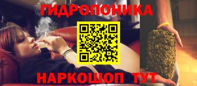 соль ск Новозыбков