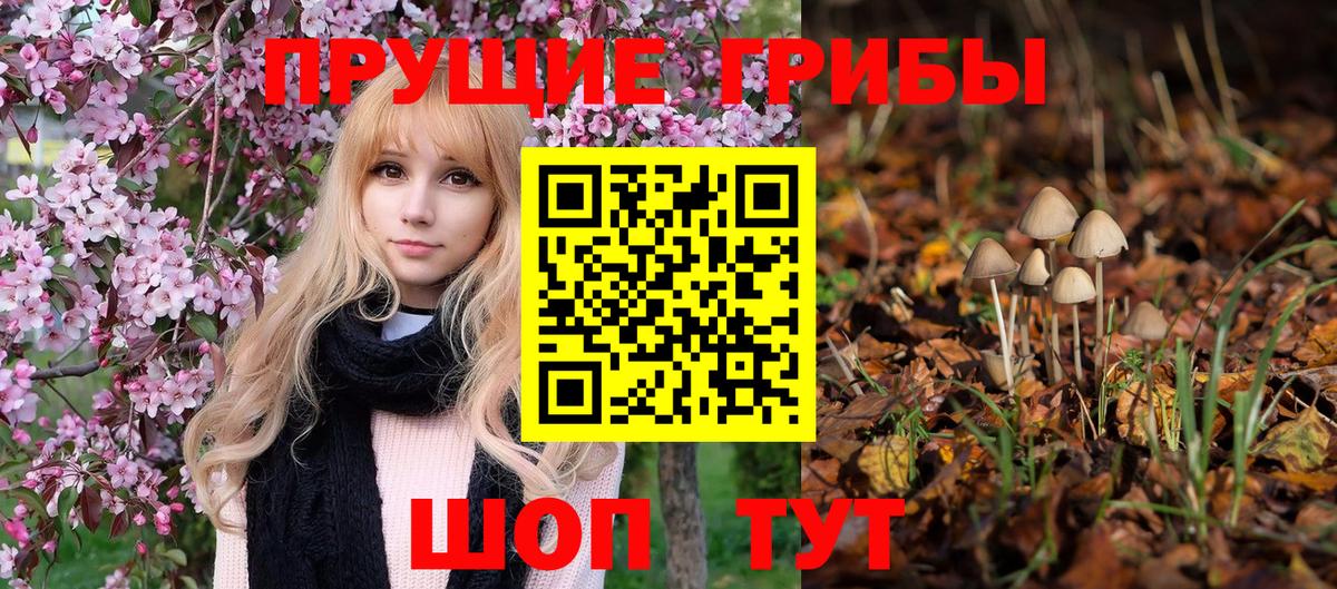 Галлюциногенные грибы Cubensis  Вход с VPN  купить наркотики цена  Троицк 