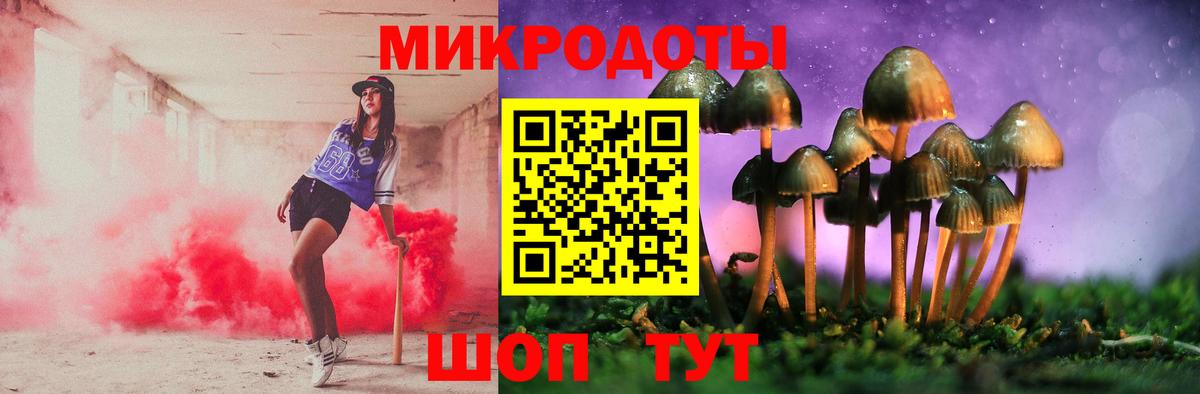 Псилоцибиновые грибы Psilocybe Троицк